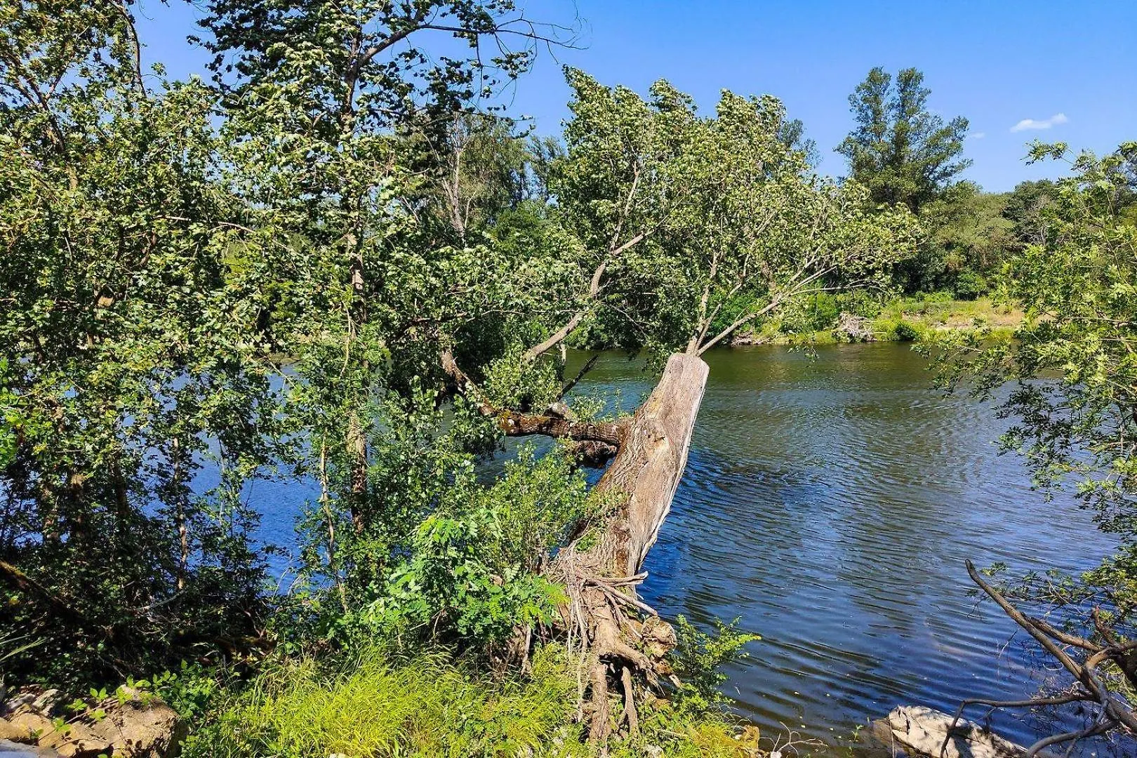 Camping La Chapouliere Ruoms